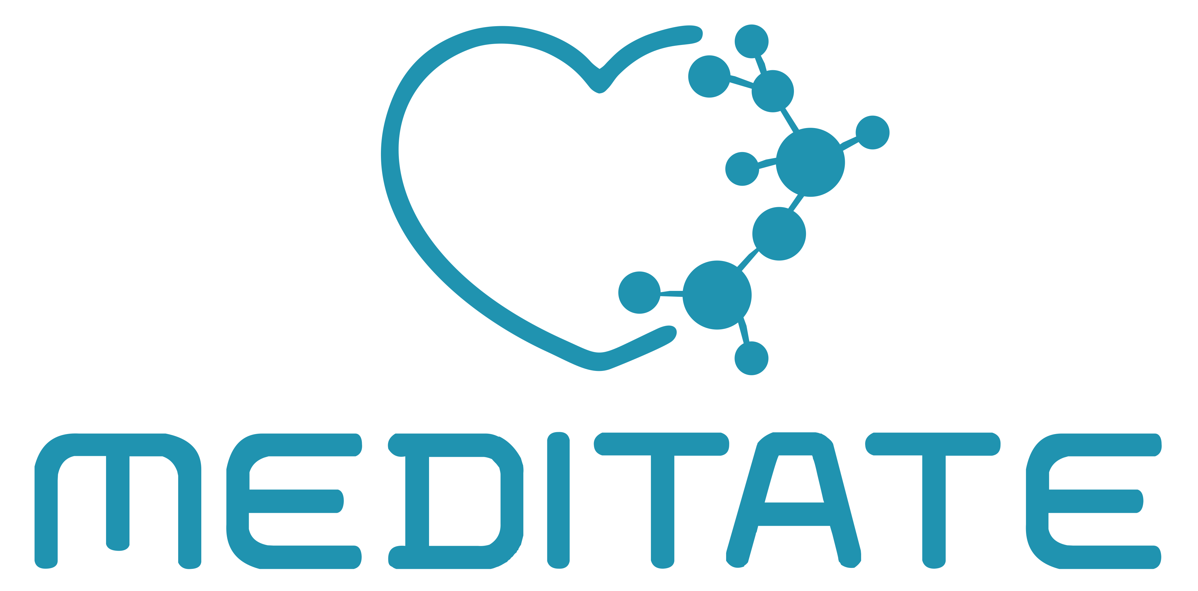 MeDiTATe project – The Medical Digital Twin for Aneurysm Prevention and ...